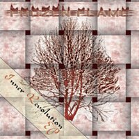 Inner Revolution cover
