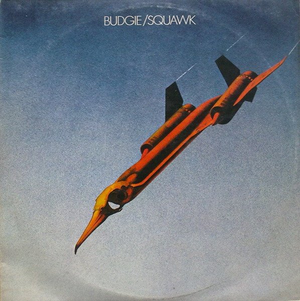 Squawk cover