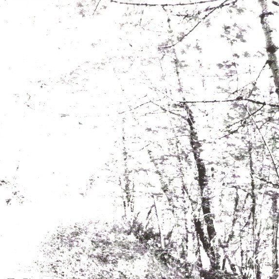 The White EP cover
