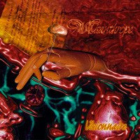 Visionnaire cover