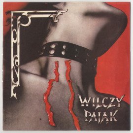 Wilczy Pająk cover