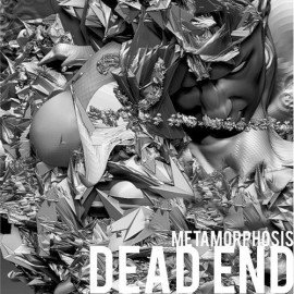 Metamorphosis cover