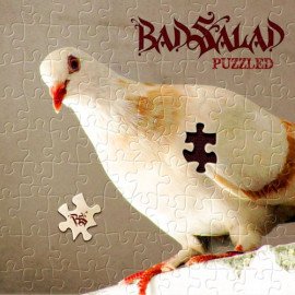 Puzzled cover