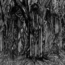 Black One cover