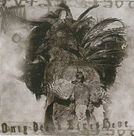 Only Death Lives Here cover