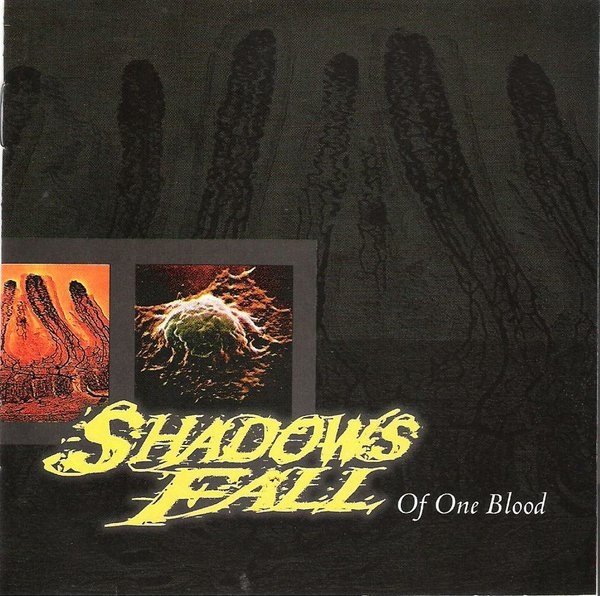 Of One Blood