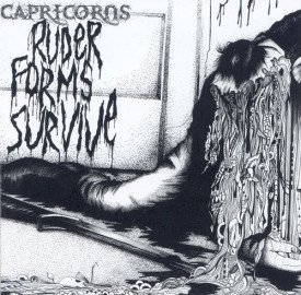 Ruder Forms Survive