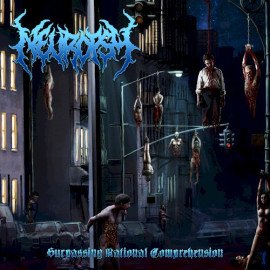 Surpassing Rational Comprehension