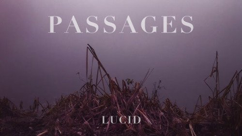 Lucid