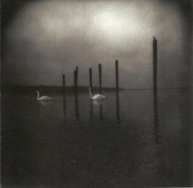 Conference of the Birds