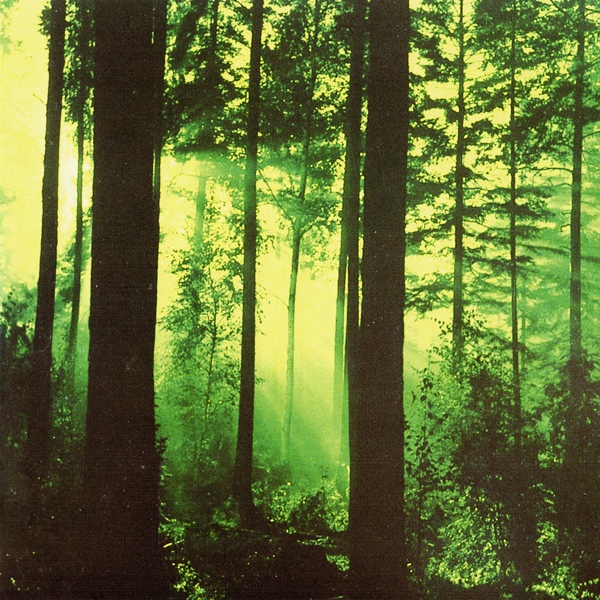 1996: Forests of Witchery