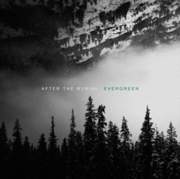 2019: Evergreen
