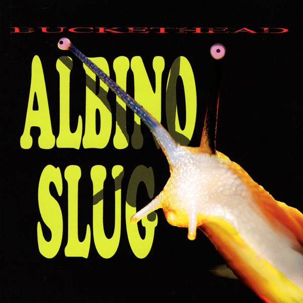 2008: Albino Slug
