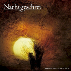 2008: Hoffnungsschimmer