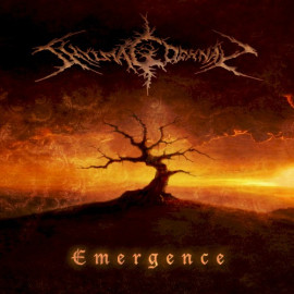 2014: Emergence