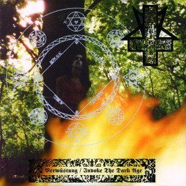 Verwüstung / Invoke the Dark Age