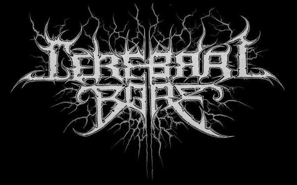 Cerebral Bore